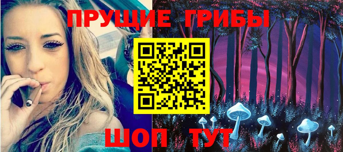 Керчь  Псилоцибиновые грибы Magic Shrooms  Вход с VPN 