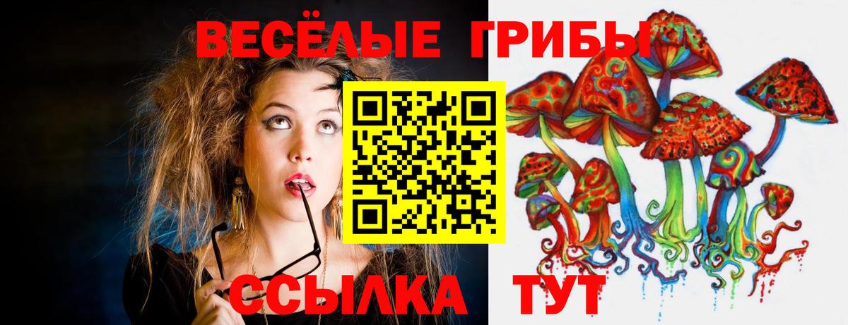 Псилоцибиновые грибы Psilocybine cubensis Керчь